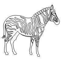 zebra single 001